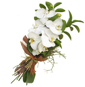 ramo de orquideas blancas